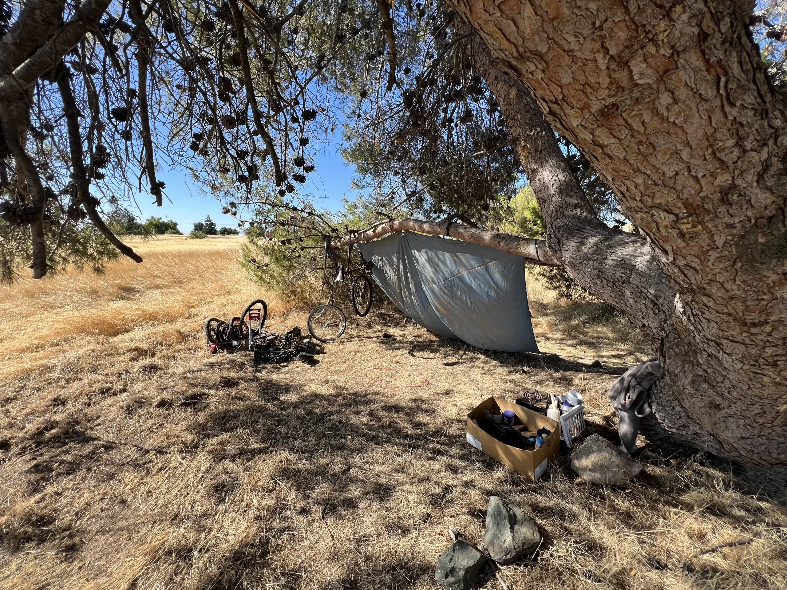 Homeless encampment structure